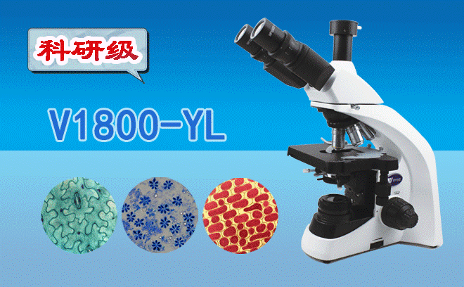 1768980492978204.png 医用显微镜.png